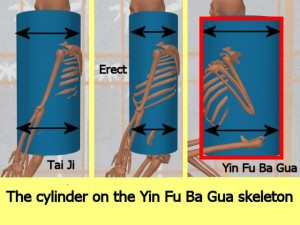 Stability_Ba_Gua_Stance-BaGuaCylinderLargestDiameter