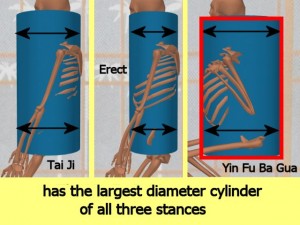 Stability_Ba_Gua_Stance-BaGuaCylinderMostStable