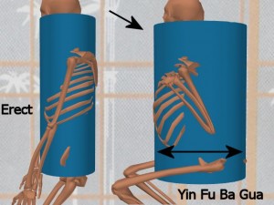 Stability_Ba_Gua_Stance-BaGuaMoreStable