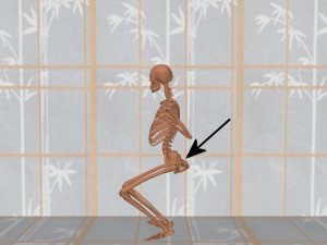 Stability_Ba_Gua_Stance-BaGuaPelvisRotatedRear