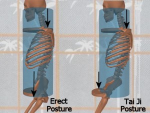Stability_Ba_Gua_Stance-BecauseShouldersPelvisMoved