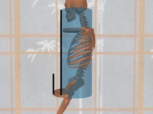 Stability_Ba_Gua_Stance-CylinderPelvisFrontsMisaligned