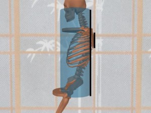 Stability_Ba_Gua_Stance-CylinderShoulderRearMisaligned