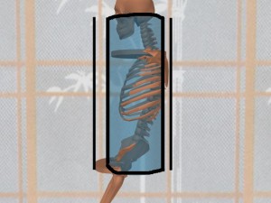 Stability_Ba_Gua_Stance-CylinderShouldersPelvisBoundaries