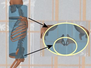 Stability_Ba_Gua_Stance-DiscsShoulderPelvisCircles