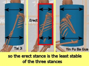 Stability_Ba_Gua_Stance-ErectCylinderLeastStable