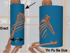 Stability_Ba_Gua_Stance-ErectCylinderLessStable