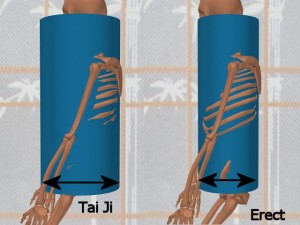 Stability_Ba_Gua_Stance-ErectCylinderSmallerBase