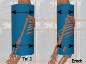 Stability_Ba_Gua_Stance-ErectCylinderSmallerDiameter