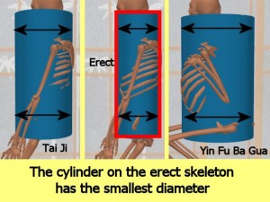 Stability_Ba_Gua_Stance-ErectCylinderSmallestDiameter