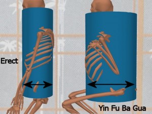 Stability_Ba_Gua_Stance-ErectDiameterSmaller