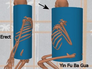 Stability_Ba_Gua_Stance-ErectHighlightBaGuaCylinder