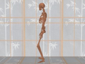 Stability_Ba_Gua_Stance-ErectSkeletonProfileView