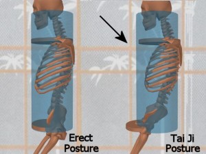 Stability_Ba_Gua_Stance-ErectTaiJiPostureDiscs