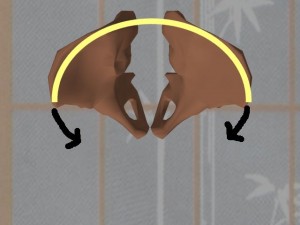 Stability_Ba_Gua_Stance-ExtendingPelvicBoneCurve
