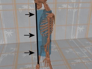 Stability_Ba_Gua_Stance-HighlightCylinderFront