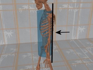 Stability_Ba_Gua_Stance-HighlightCylinderRear