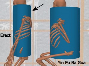 Stability_Ba_Gua_Stance-HighlightErectBaGuaCylinder