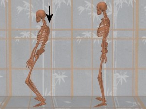 Stability_Ba_Gua_Stance-IfShoulderBladesMoveRear