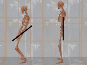 Stability_Ba_Gua_Stance-NormalPosturePelvicBones