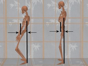 Stability_Ba_Gua_Stance-NormalPosturePelvisFurtherRear