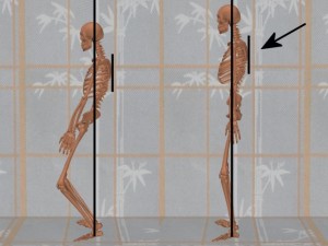Stability_Ba_Gua_Stance-NormalPostureShoulderBlades