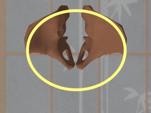 Stability_Ba_Gua_Stance-PelvicBonesCircle