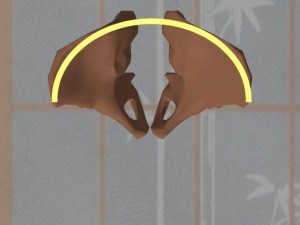Stability_Ba_Gua_Stance-PelvicBonesSemicircularShape