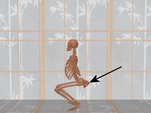 Stability_Ba_Gua_Stance-PelvisRearRearBoundary