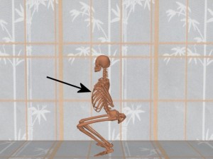 Stability_Ba_Gua_Stance-RibCageFrontBoundary
