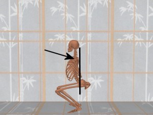 Stability_Ba_Gua_Stance-ShoulderBladesInFront