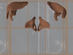 Stability_Ba_Gua_Stance-ShoulderBladesOverheadView
