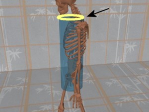 Stability_Ba_Gua_Stance-ShoulderCircleRear