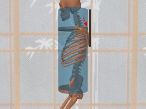 Stability_Ba_Gua_Stance-ShoulderDiscAlignedCylinderRear