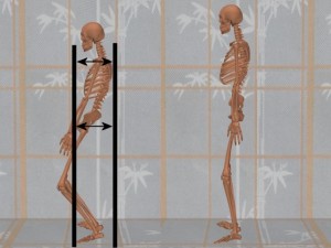 Stability_Ba_Gua_Stance-ShoulderPelvisDistanceLarger