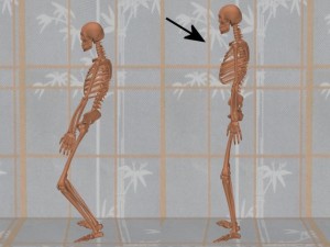Stability_Ba_Gua_Stance-SkeletonNormalPostureProfile