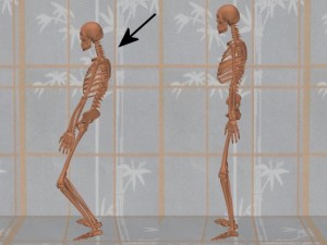 Stability_Ba_Gua_Stance-SkeletonTaiJiStanceProfile