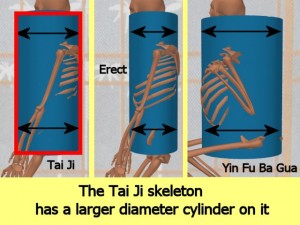Stability_Ba_Gua_Stance-TaiJiCylinderDiameterLarger