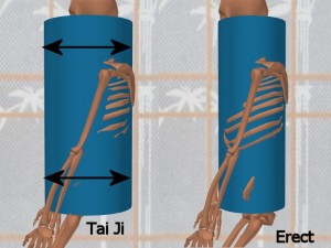 Stability_Ba_Gua_Stance-TaiJiCylinderLargerDiameter