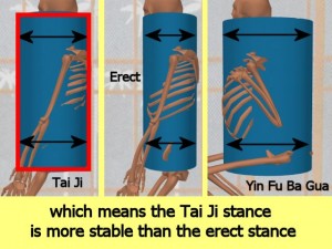 Stability_Ba_Gua_Stance-TaiJiCylinderMoreStable