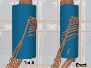 Stability_Ba_Gua_Stance-TaiJiErectCylindersProfile