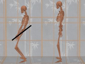 Stability_Ba_Gua_Stance-TaiJiPelvicBonesSlanted