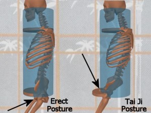 Stability_Ba_Gua_Stance-TaiJiPelvisFarForward