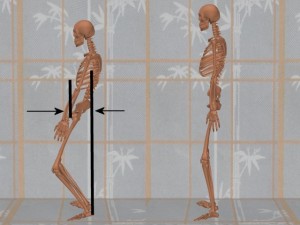 Stability_Ba_Gua_Stance-TaiJiPelvisInFront