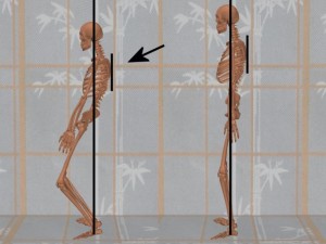 Stability_Ba_Gua_Stance-TaiJiShoulderBlades