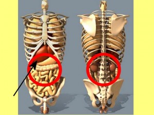 Yin_Fu_Single_Cylinder_01-LiverWithinCircularArea