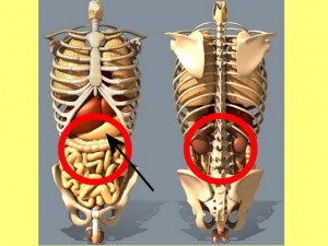 Yin_Fu_Single_Cylinder_01-StomachWithinCircularArea