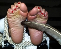 Yin_Legs_Gallery_103.jpg