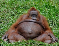 Big_Belly_Gallery_018.jpg