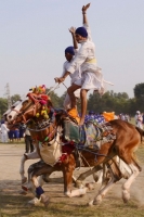 Flexibility_And_Balance_Gallery_120.jpg